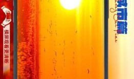 吉林市新闻爆料电话热线,倾听民声，守护城市安全